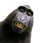 MasterAlphaStudios