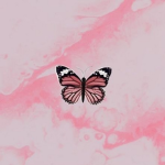Butterfly Squad >.<