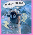 •.- Tracy’s Apparel ! -.•