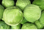 THEE cabbages