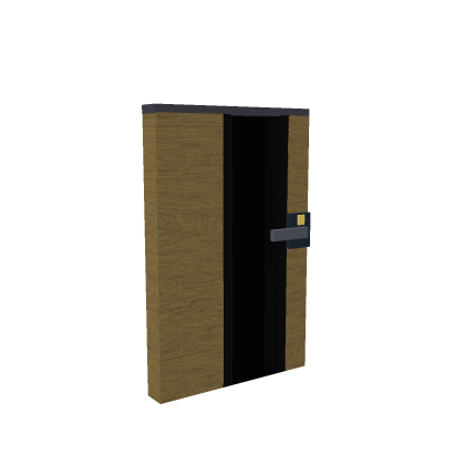 Modern Door