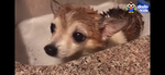 YouTube community for Tjdjkillinit4