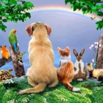 The Rainbow Bridge