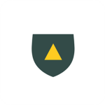 United Allied Armed Forces