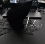 /daw