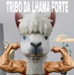 Arnoxdxdddd