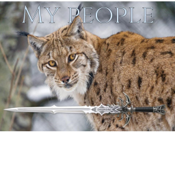 The Kingdom of Lynx
