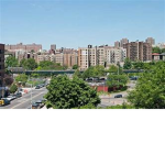Warzone South Bronx