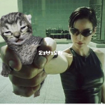 Z3V1SM