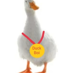 Team Quackers!