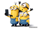 -Minion-fan-club-