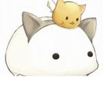 Lil Cats