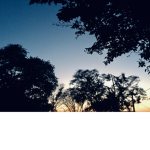 lovely days ~