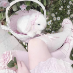 ʚ bunnny ɞ