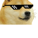 Dogs are better then cats