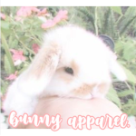 bunny apparel.