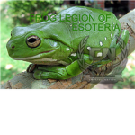 Frog Legion of Esoteria