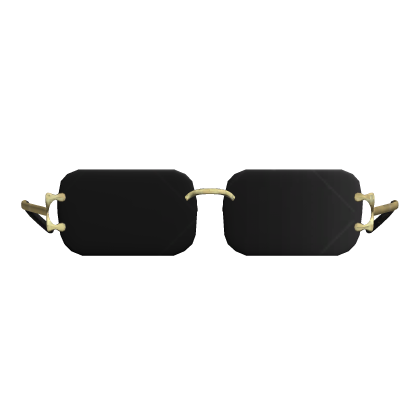 Desginer Black Glasses