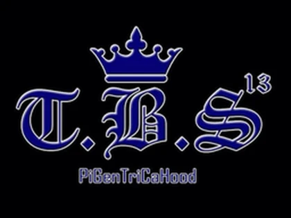 T.B.S 13 Roblox group icon