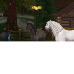THE PONEY GROUPS