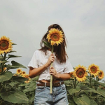 Little Sunflowers