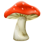 Mushroom Ladies