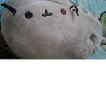 Pusheen teh cat fan group