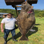 halibut