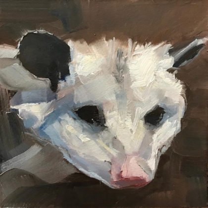 Opossum painting by Gary Bruton Roblox decal