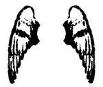 ~#ANGEL#~