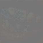 9mice9mice