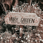 FairqDreams