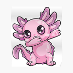 Axolotl production