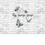 hey moneys group