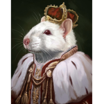 THE RATS OF THE CENTURY, WE ARE SUPERIOR!