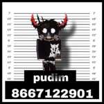 super pudim