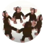Gorilla and monke group
