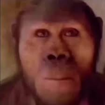monkey hating group (in a good way)
