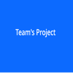 Team's Project