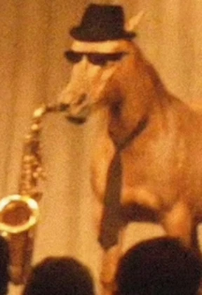 Group Icon