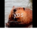 iiksdub