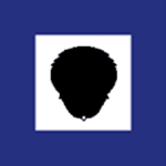 General Directorate of Securityᅠ