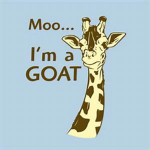 MOO GROUP