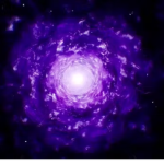Portal Prod.