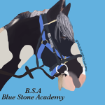 Blue Stone Academy