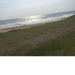 Beach team of waves