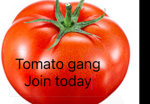 The EPIK tomato gang