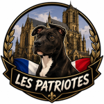 Les patriotes de saint julien