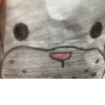 Bggrdggcr