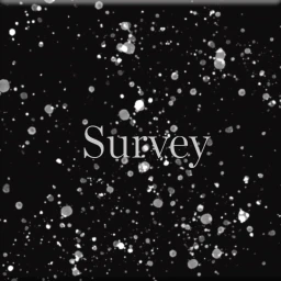 Survey icon